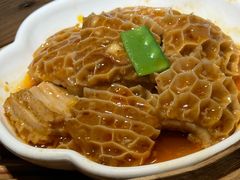-点都德·毕德寮