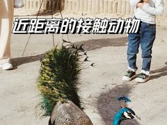 -栾川竹海野生动物园