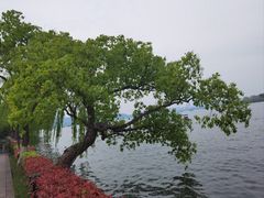-浙江西子宾馆·牡丹厅