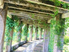 -凤凰沟景区