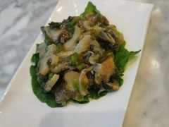 芥末海螺片-燕云楼(云南路店)