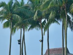 -石梅湾艾美度假酒店