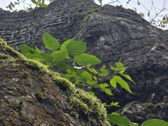 -山王坪喀斯特国家生态公园