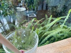 -知亘茶食