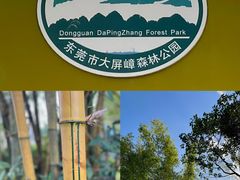 -大屏嶂森林公园