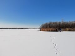 -丁香湖公园