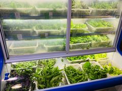 -黔府豆米火锅野菜馆(南马店)