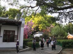 -乌山风景区