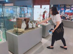 -济州岛泰迪熊博物馆