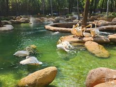 -北京野生动物园