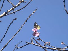 -福建泉州仙公山风景名胜区