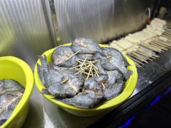 -杨合林啊兰烤鱼