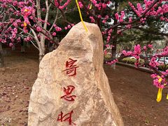 -万佛园景区