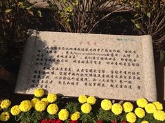 iphone_upload_pic-东部华侨城