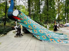 -成飞公园