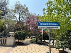 -青岛鑫江温德姆酒店