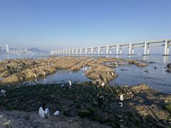 -黑石礁公园