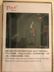 -FineYoga梵音瑜伽·普拉提