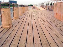 -新江湾城公园