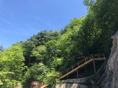-秦岭天竺山景区