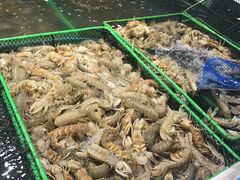 -盒马鲜生(大成店)