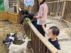 -加顺农场餐厅