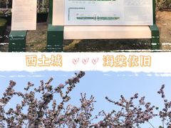 -元大都城垣遗址公园