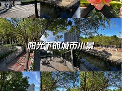 -大望京公园