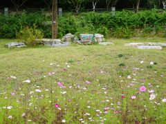 -大运河源头遗址公园