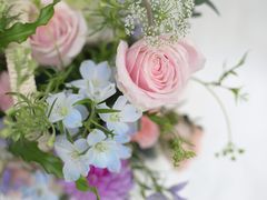 -花到家(富贵鸟花艺行)