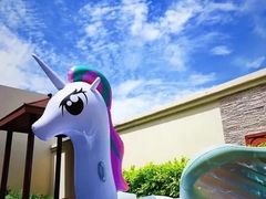 -三亚亚龙湾雅高铂尔曼别墅度假酒店