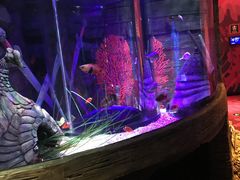 -沈阳海洋探索中心