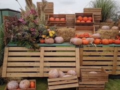 -中国天府农业博览园