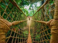 -正佳雨林生态植物园