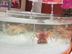 -万龙洲海鲜(大兴绿地缤纷城店)