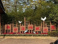 -大湾区中央湿地公园