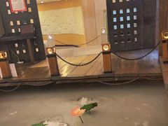 -老船坞水上餐厅(亚洲大酒店  东四十条店)