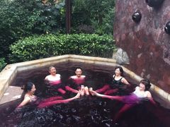 -天目湖涵田半山温泉