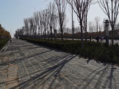 -洛阳白马寺