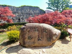 -嘉定紫藤园