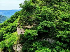 -大岭沟猕猴桃谷风景区