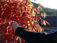 -丹东天桥沟景区