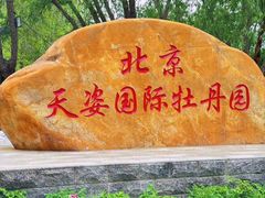 -太阳宫公园