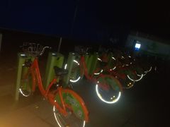 -聊城动物园