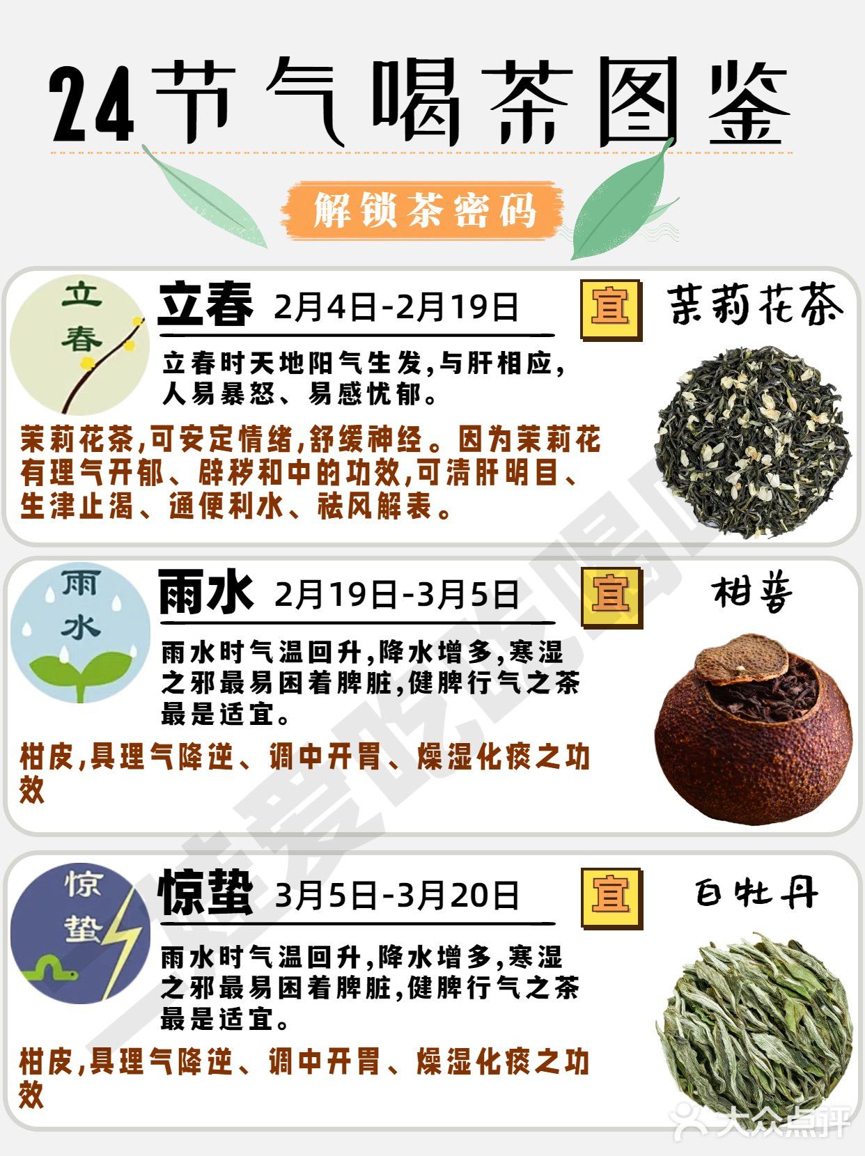 24节气喝茶图鉴🍃解锁茶密码