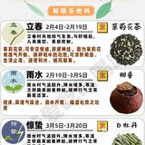 24节气喝茶图鉴🍃解锁茶密码