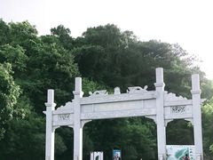 -羚羊峡古栈道森林公园