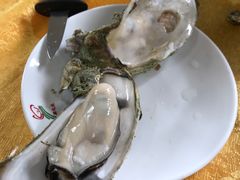 -蚝专家(北滘店)