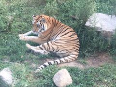 -西安秦岭野生动物园