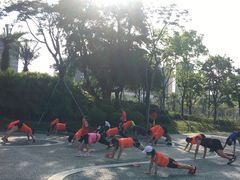 -宝安西湾红树林湿地公园